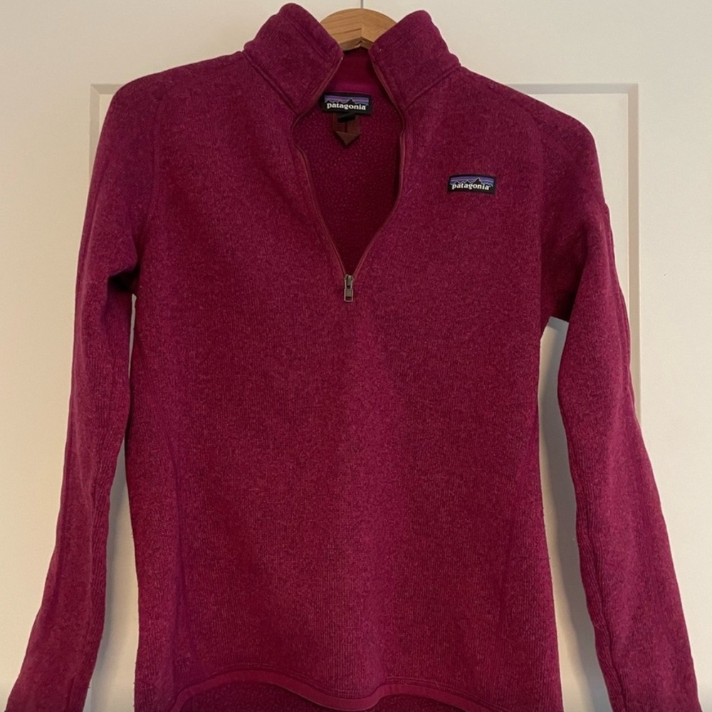 Patagonia Women’s Better Sweater (medium)